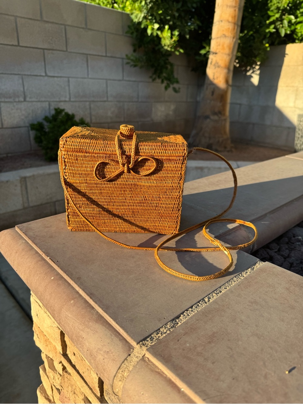 TLC Woven Rattan Crossbody Bag in Tan hard case that balances vintage aesthetic